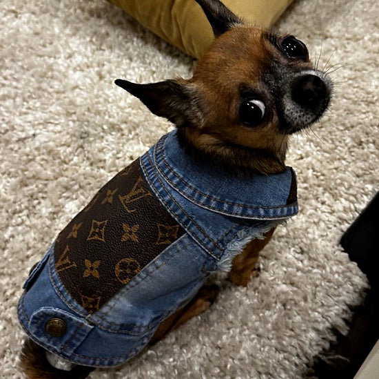 Luxury Dog Denim Jacket