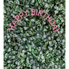 Sparkly "Happy Birthday" Headbands – Silver, Multicolor, and Pink