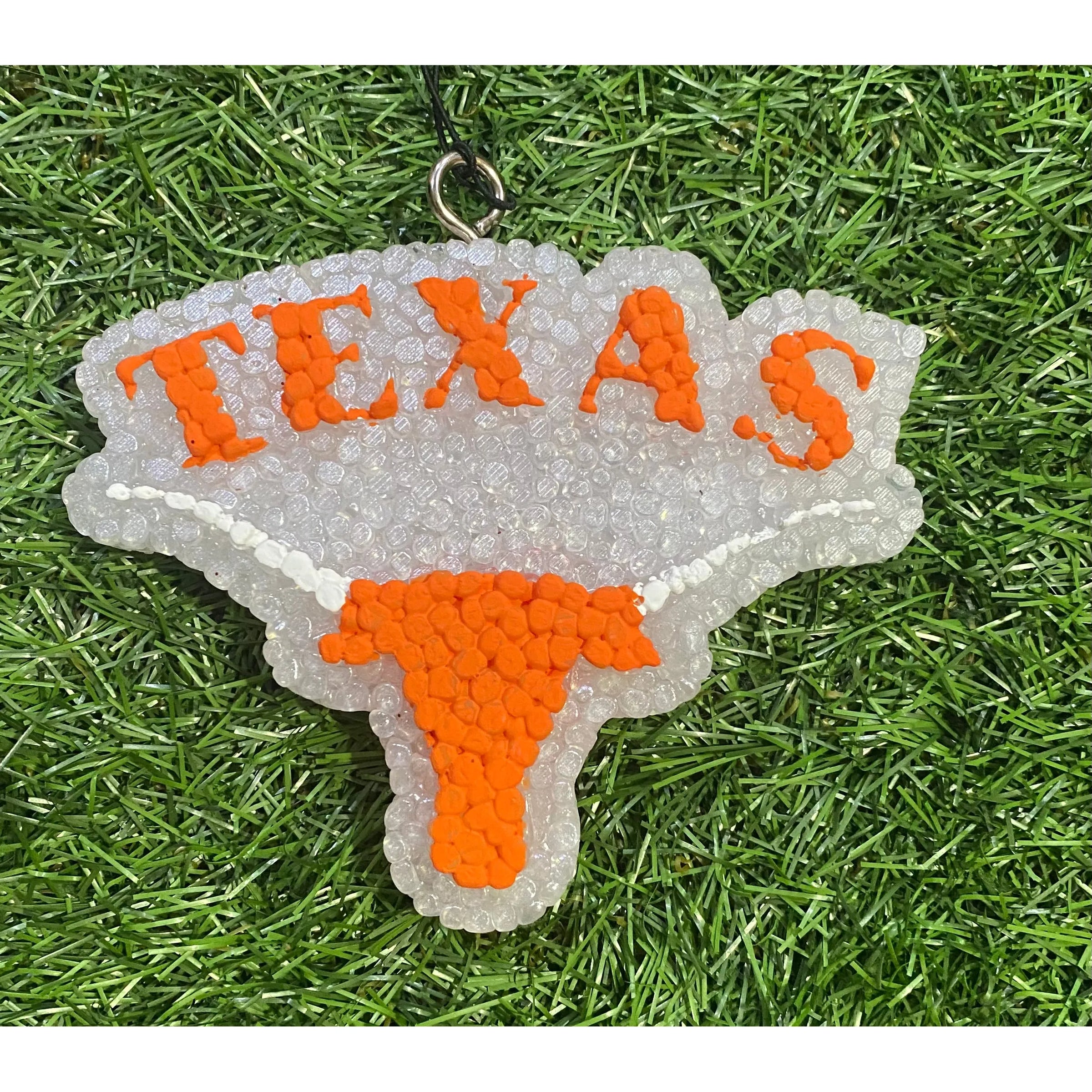 Texas Longhorn Freshie