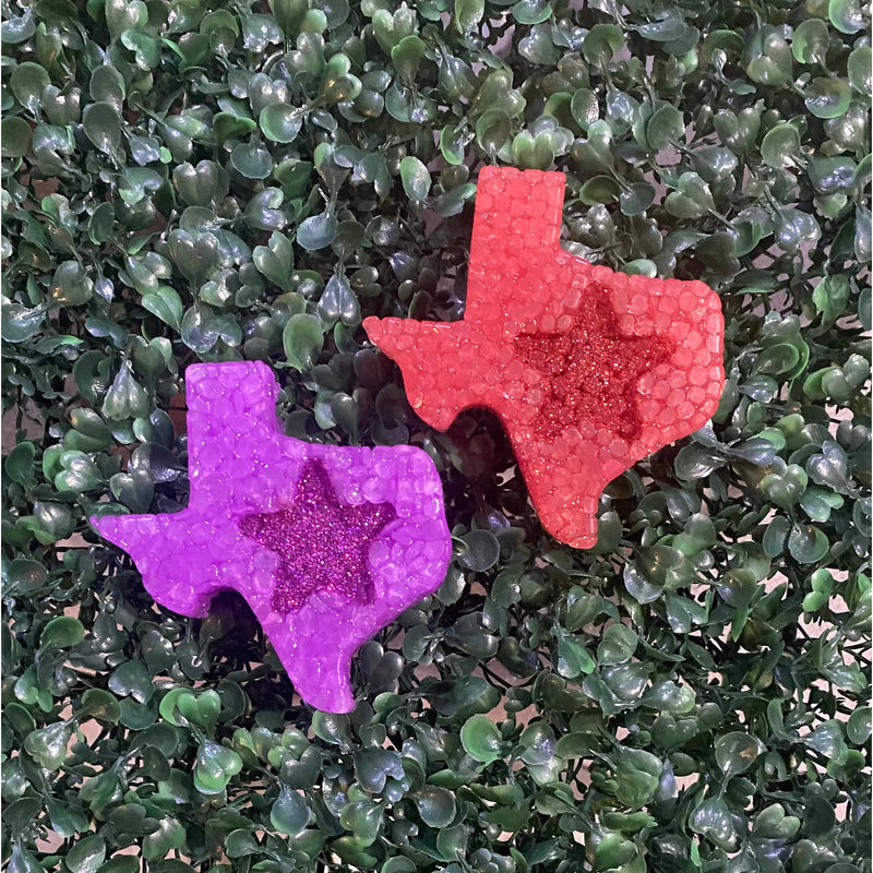 Mini Texas Car Vent Freshie