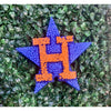Houston Astros Car Freshie