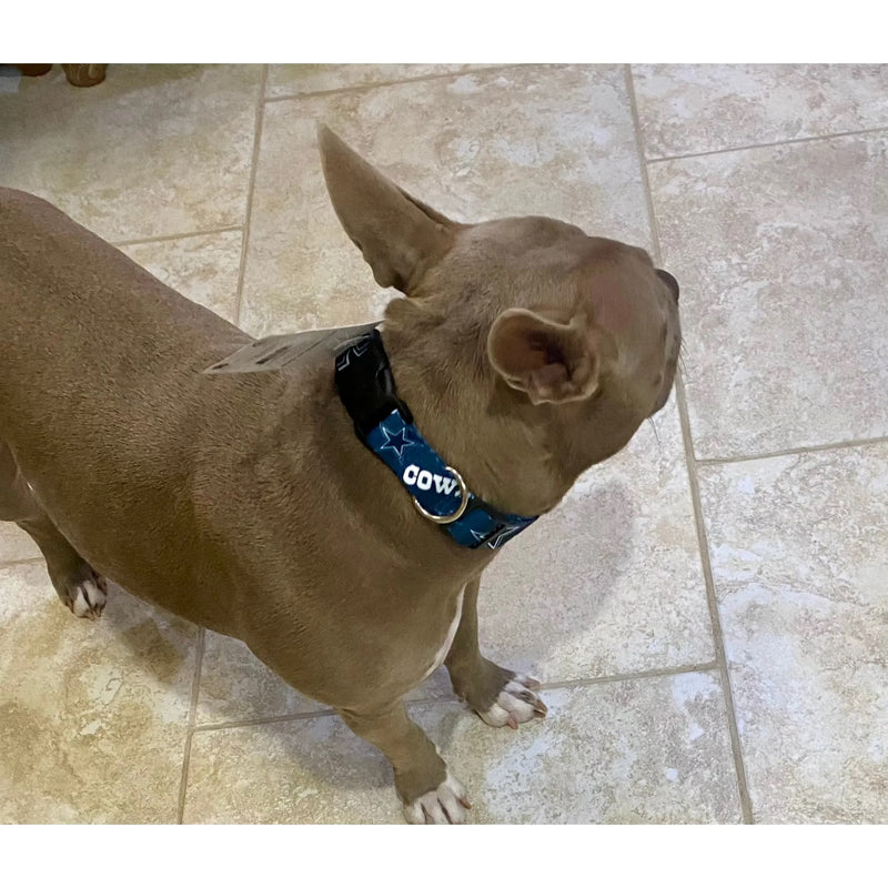 Dallas Cowboy Dog Collar