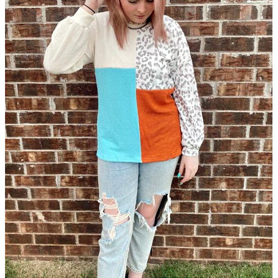 Wild About Fall Colorblock Top