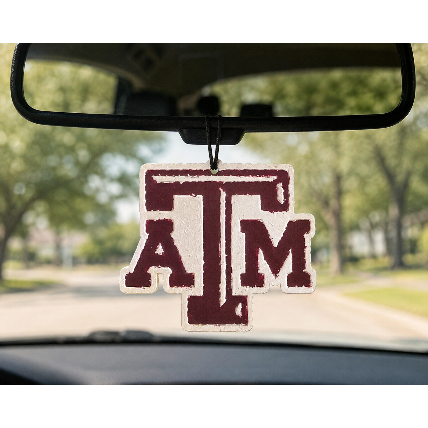 Texas A&M Freshie