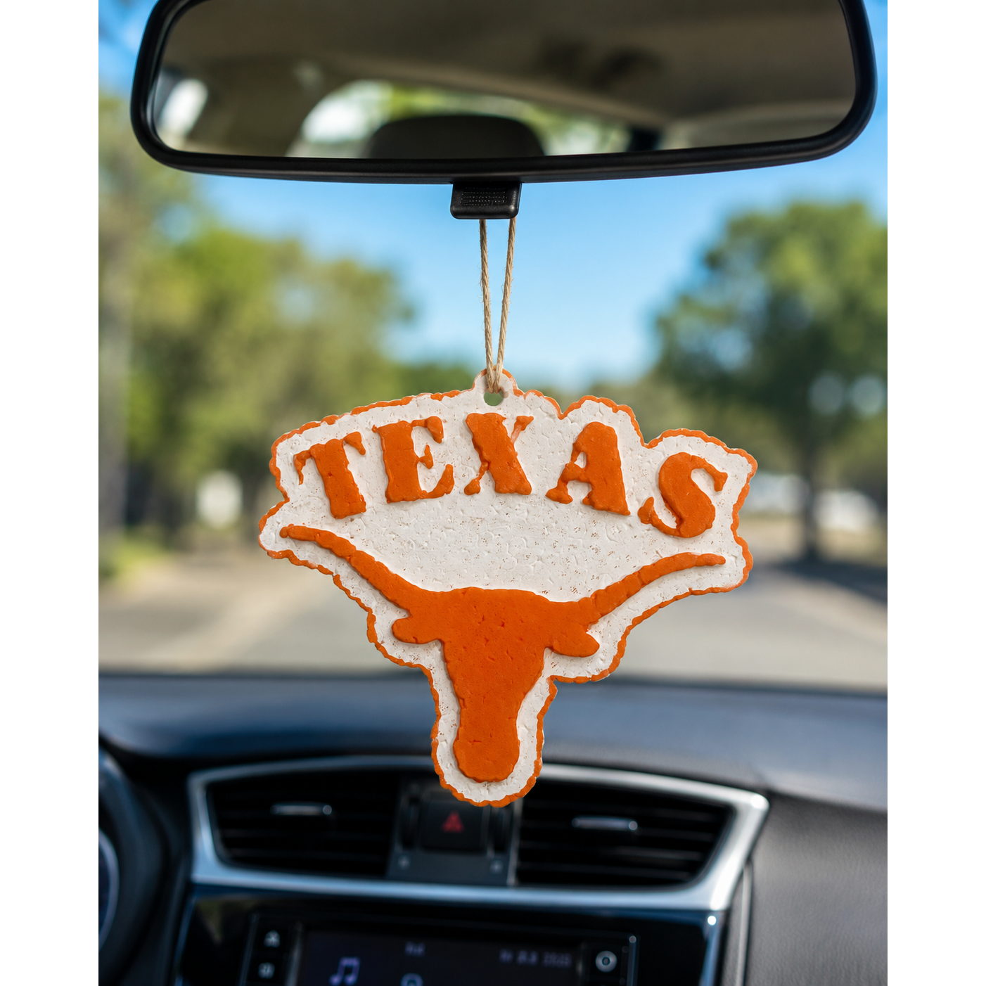 Texas Longhorn Freshie