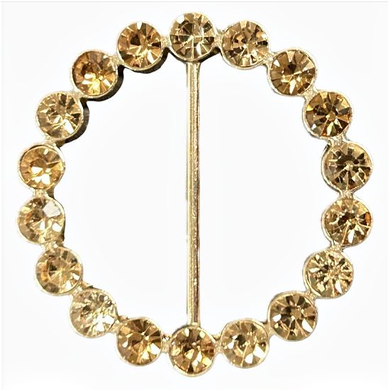 Gold Topaz Rhinestone Tee Shirt Tie